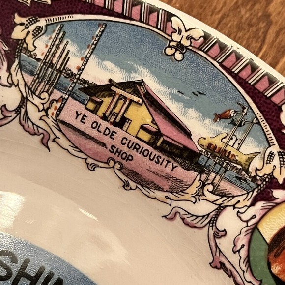 VTG Magnificient Washington Mount Rainier Collector Plate 9" Made in Japan - Picture 4 of 12